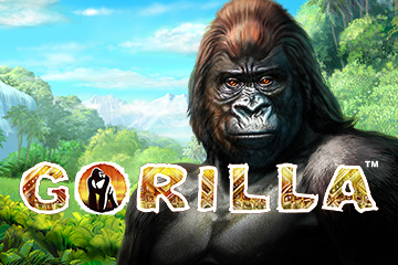 Gorilla Kingdom
